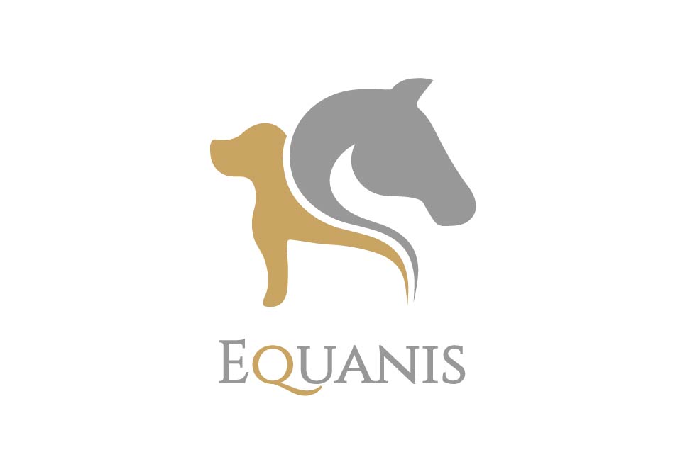 Equanis Logo 1